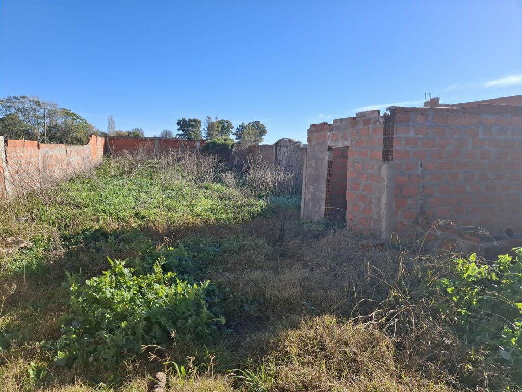 photo.11 45 39.769656