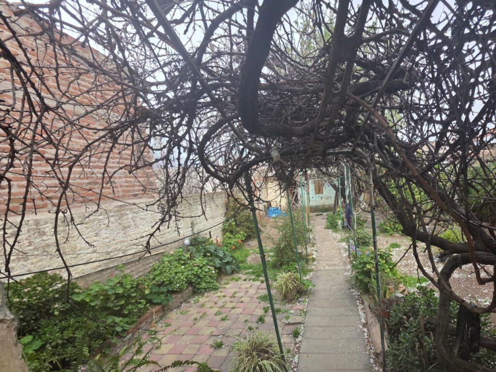 photo.12 04 12.393514