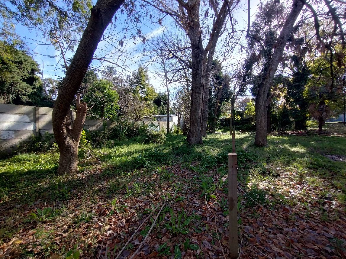 photo.12 25 33.234031 (1)
